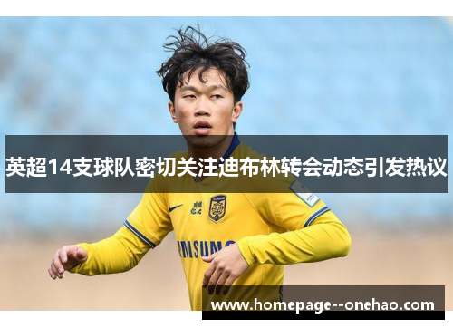 英超14支球队密切关注迪布林转会动态引发热议