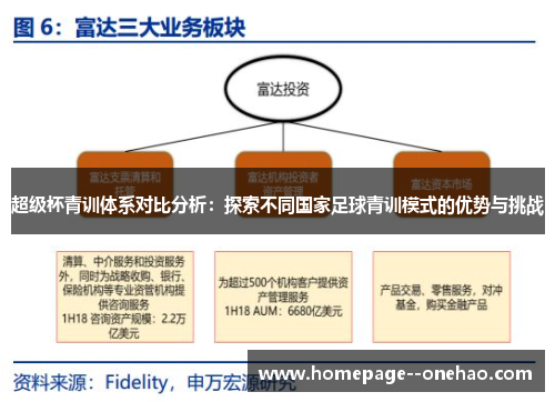 超级杯青训体系对比分析：探索不同国家足球青训模式的优势与挑战